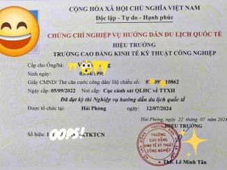 chứng chỉ hướng dẫn viên quốc tế